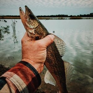 Meet your Posher, Travis